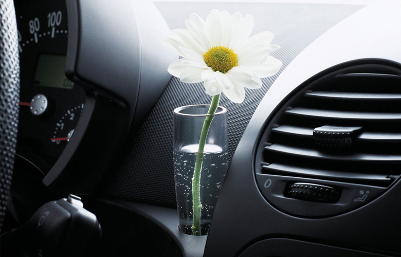 Bình cắm hoa trên Volkswagen