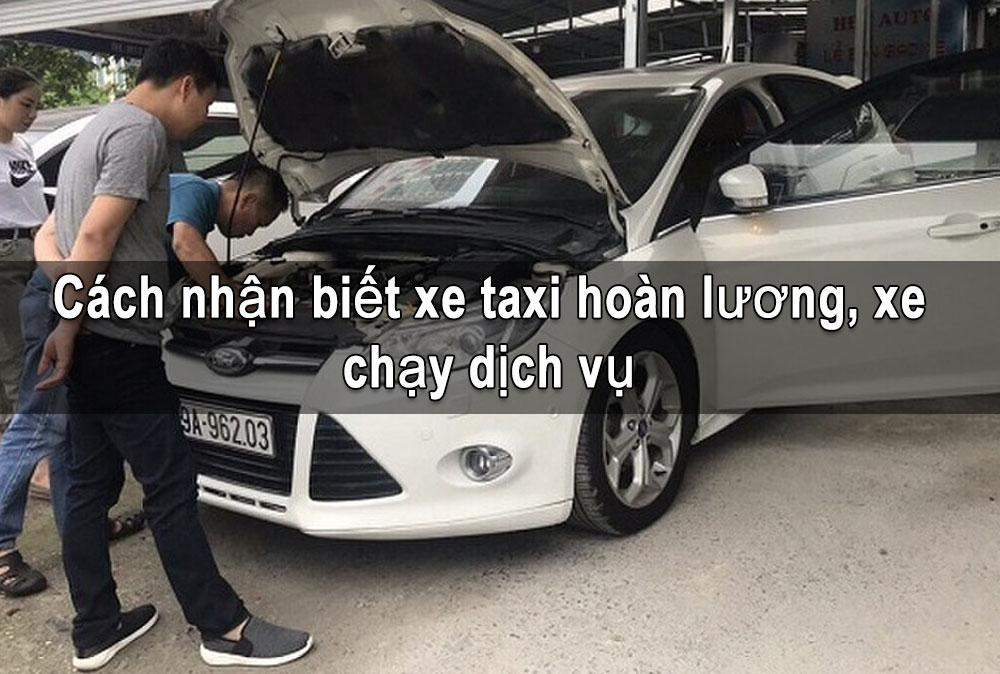 Cách nhận biết xe taxi hoàn lương, xe chạy dịch vụ